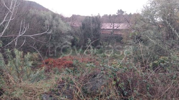 immagine annuncio 0 di 14