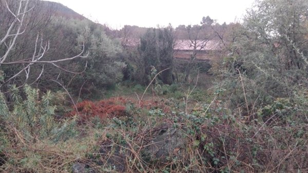 terreno agricolo in vendita a Viagrande