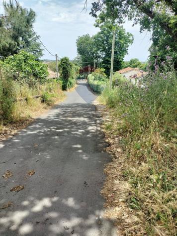 terreno agricolo in vendita a Viagrande