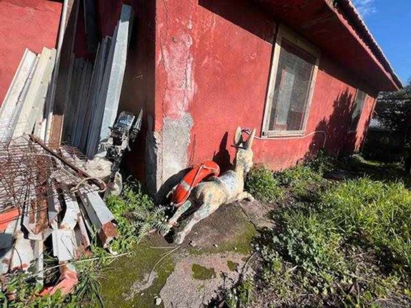 casa indipendente in vendita a Viagrande