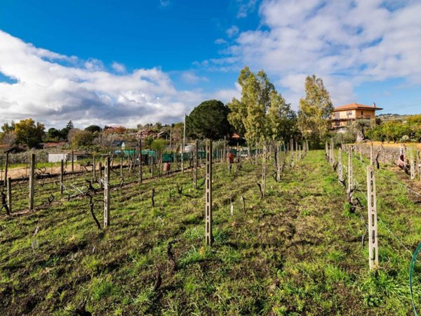 terreno agricolo in vendita a Viagrande