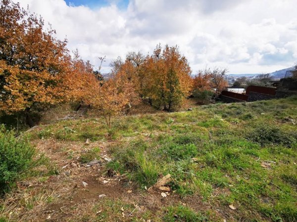 terreno edificabile in vendita a Viagrande