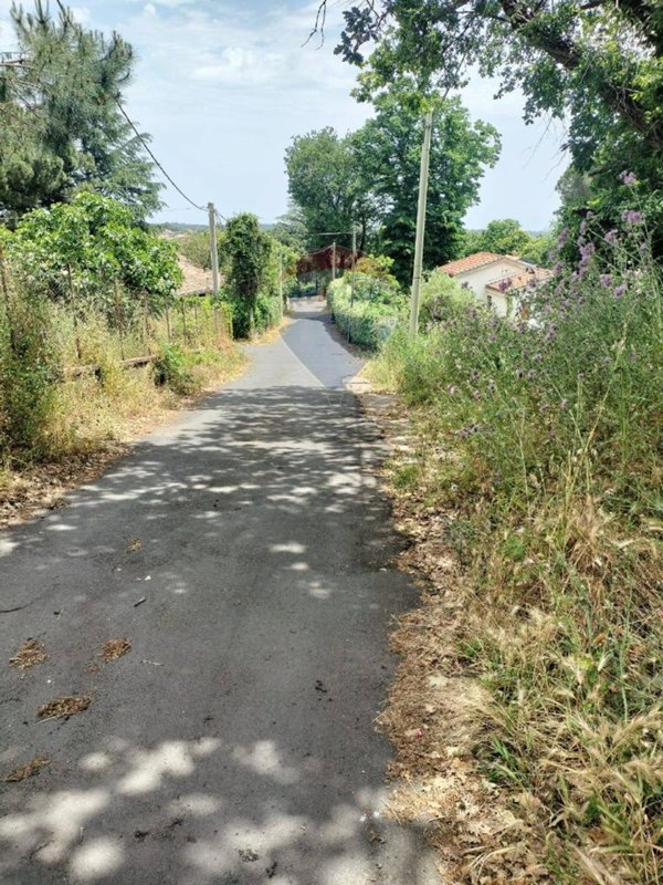 terreno agricolo in vendita a Viagrande