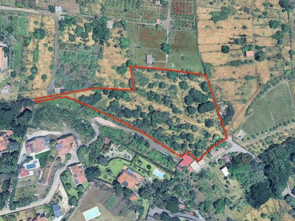 terreno in vendita a Viagrande