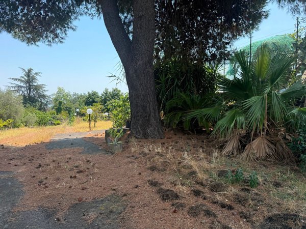 casa indipendente in vendita a Viagrande