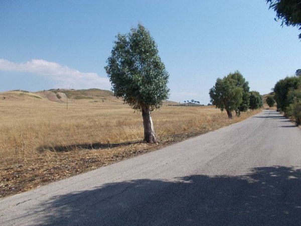 terreno agricolo in vendita a Vizzini in zona Vizzini Scalo