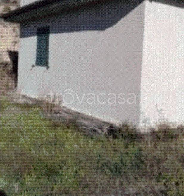 terreno agricolo in vendita a Vizzini