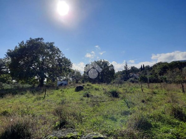 terreno agricolo in vendita a Zafferana Etnea