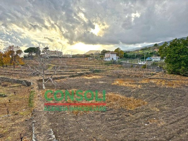 terreno agricolo in vendita a Zafferana Etnea