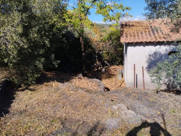 terreno agricolo in vendita a Zafferana Etnea