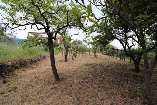 monolocale in vendita a Zafferana Etnea
