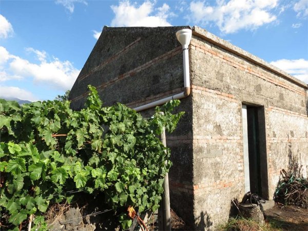 appartamento in vendita a Zafferana Etnea