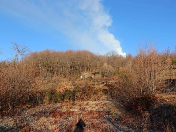 casa indipendente in vendita a Zafferana Etnea