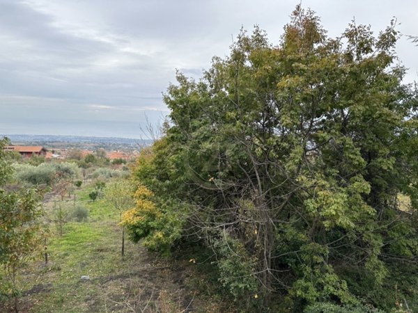 terreno agricolo in vendita a Zafferana Etnea