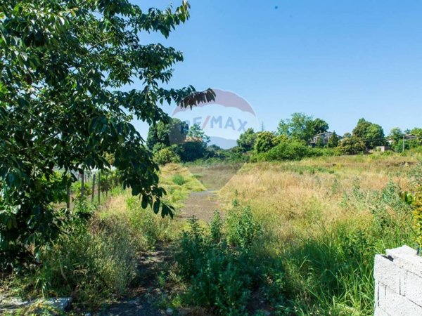 terreno agricolo in vendita a Zafferana Etnea