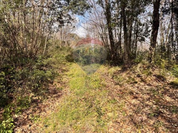 terreno agricolo in vendita a Zafferana Etnea