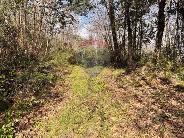 terreno agricolo in vendita a Zafferana Etnea