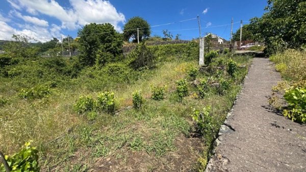 terreno agricolo in vendita a Zafferana Etnea