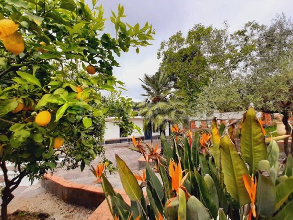 casa indipendente in vendita a Zafferana Etnea in zona Petrulli