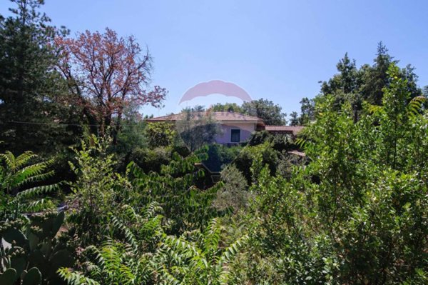 casa indipendente in vendita a Zafferana Etnea