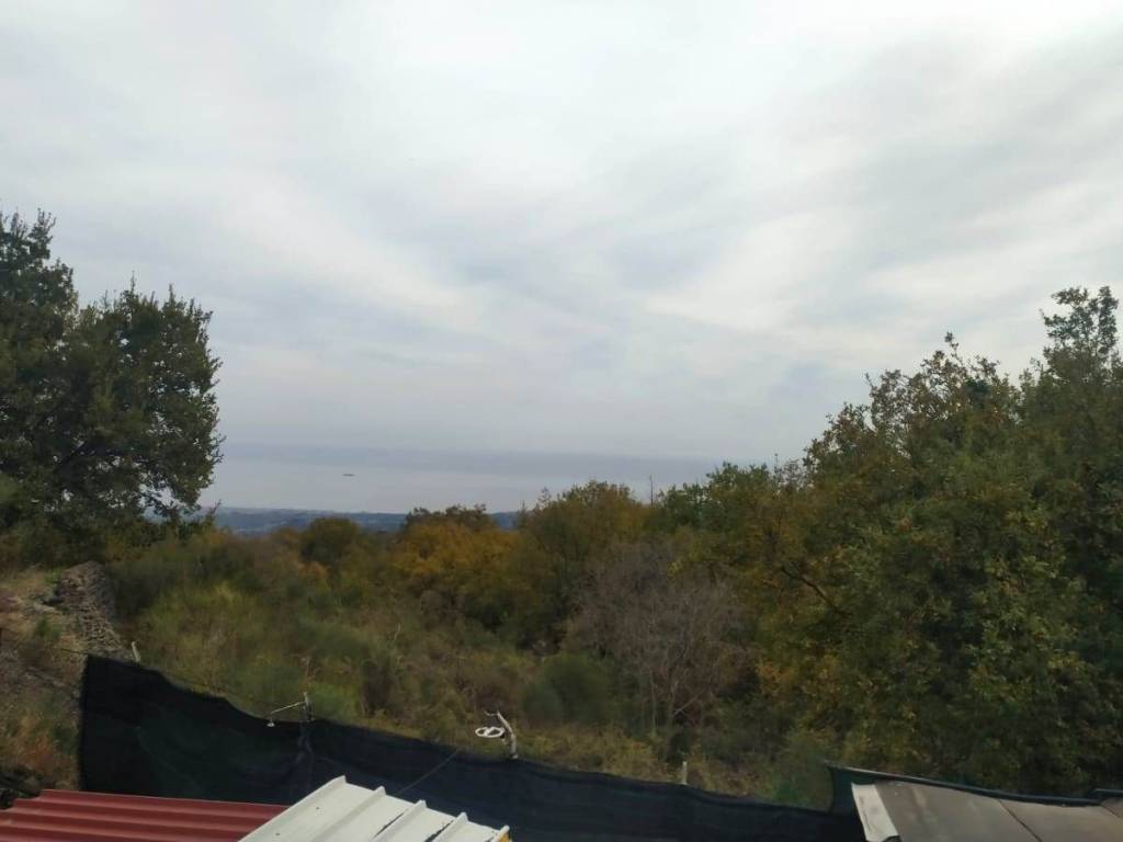 terreno agricolo in vendita a Zafferana Etnea