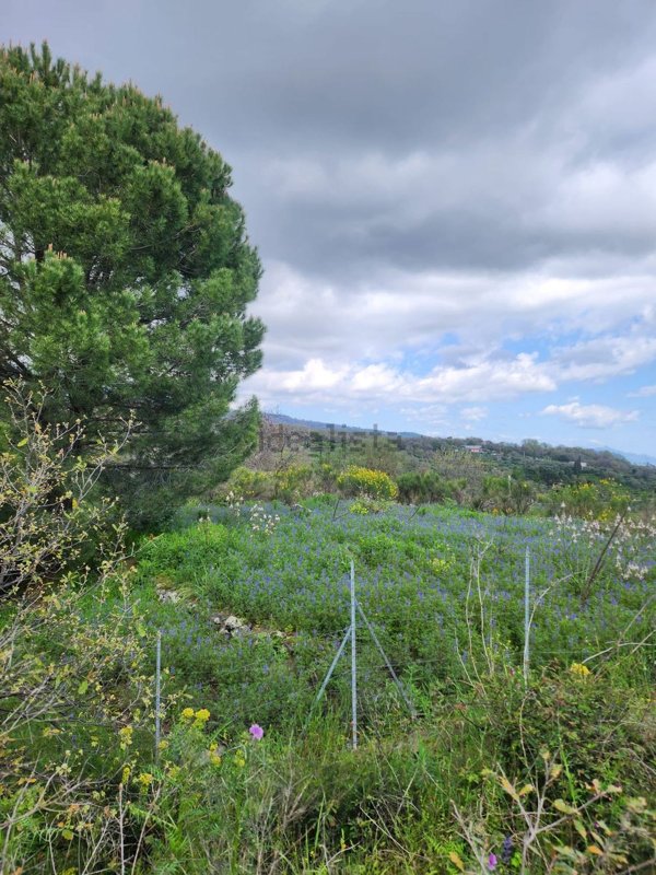 terreno agricolo in vendita a Zafferana Etnea