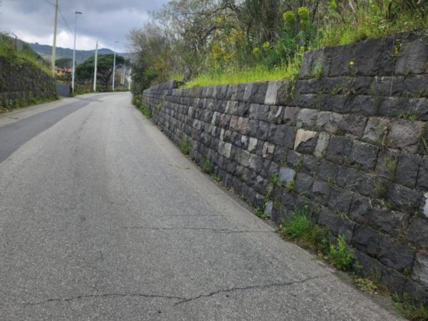 terreno agricolo in vendita a Zafferana Etnea
