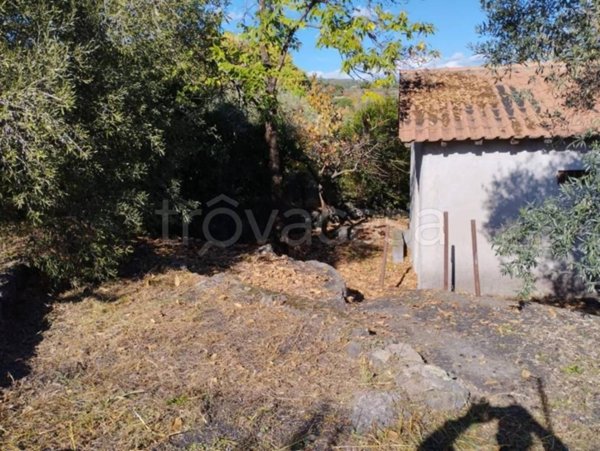 terreno agricolo in vendita a Zafferana Etnea