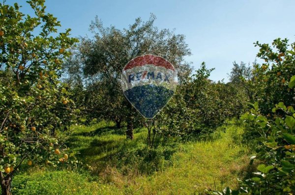 terreno agricolo in vendita a Zafferana Etnea