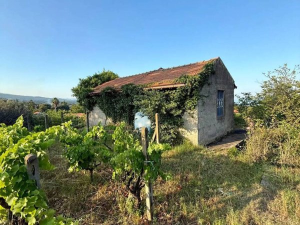 casa indipendente in vendita a Zafferana Etnea