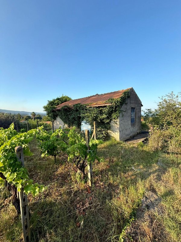 appartamento in vendita a Zafferana Etnea