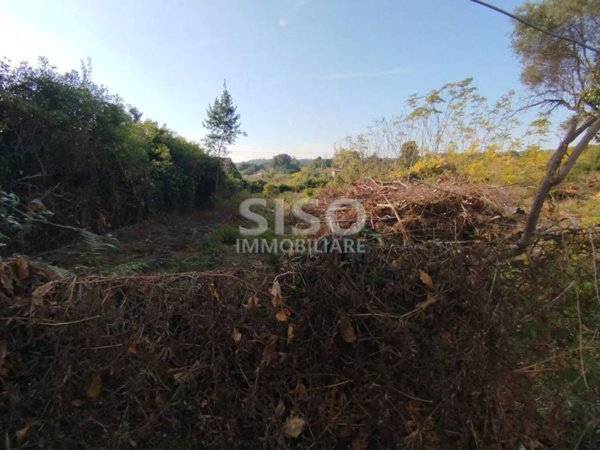 terreno agricolo in vendita a Zafferana Etnea