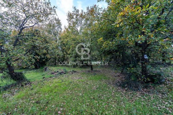 terreno agricolo in vendita a Zafferana Etnea