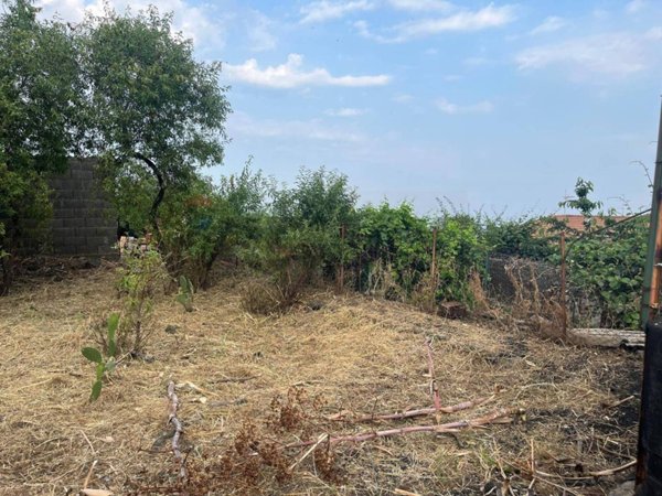 terreno agricolo in vendita a Zafferana Etnea