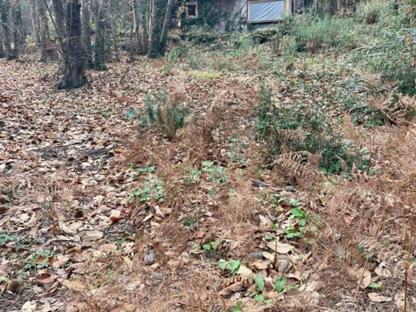 terreno agricolo in vendita a Zafferana Etnea in zona Sarro