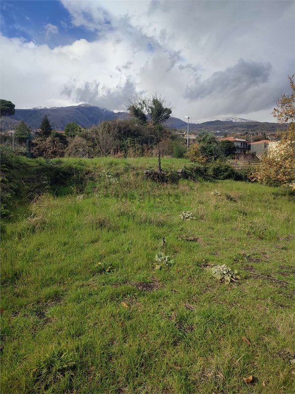 terreno agricolo in vendita a Zafferana Etnea