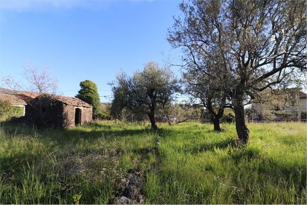 terreno agricolo in vendita a Zafferana Etnea
