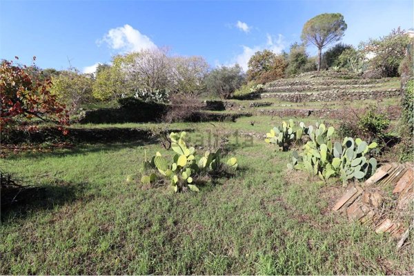 casa indipendente in vendita a Zafferana Etnea in zona Petrulli