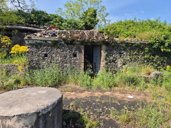 terreno agricolo in vendita a Zafferana Etnea