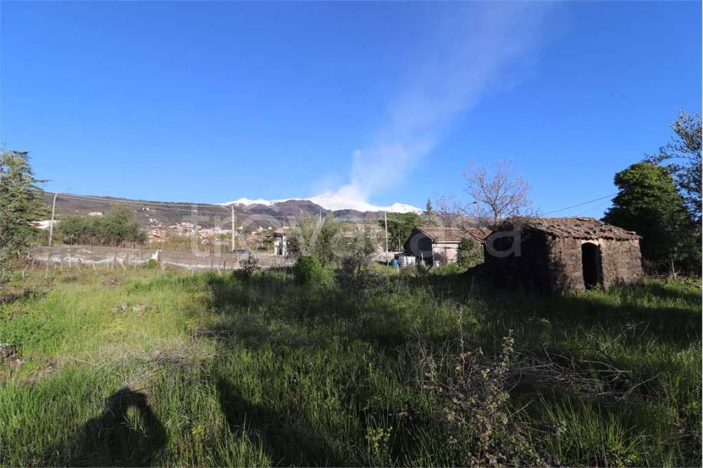 terreno agricolo in vendita a Zafferana Etnea