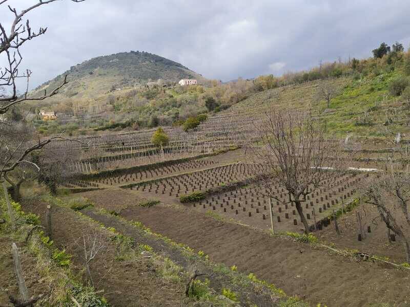 terreno agricolo in vendita a Zafferana Etnea in zona Fleri