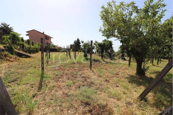 casa indipendente in vendita a Zafferana Etnea