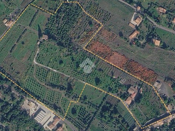 terreno agricolo in vendita a Zafferana Etnea
