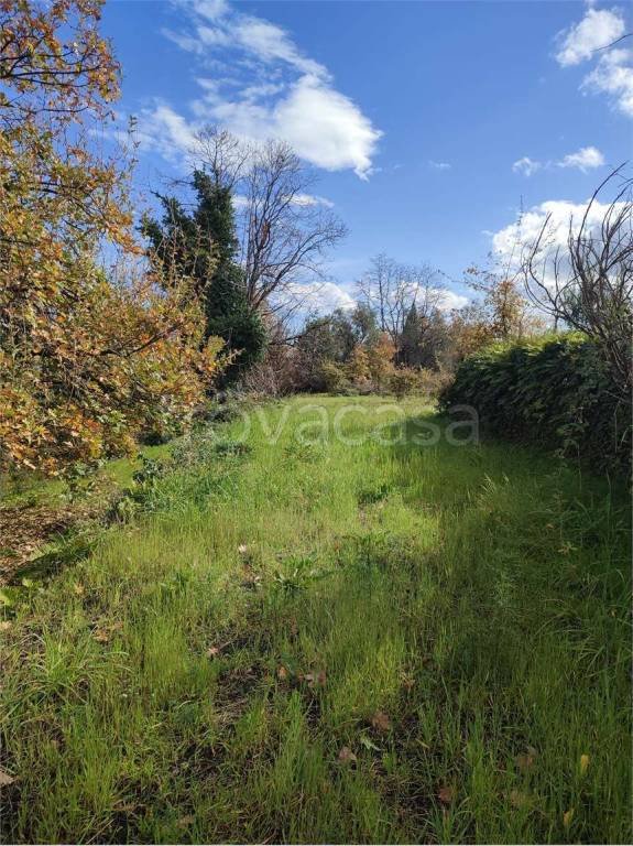 terreno agricolo in vendita a Zafferana Etnea