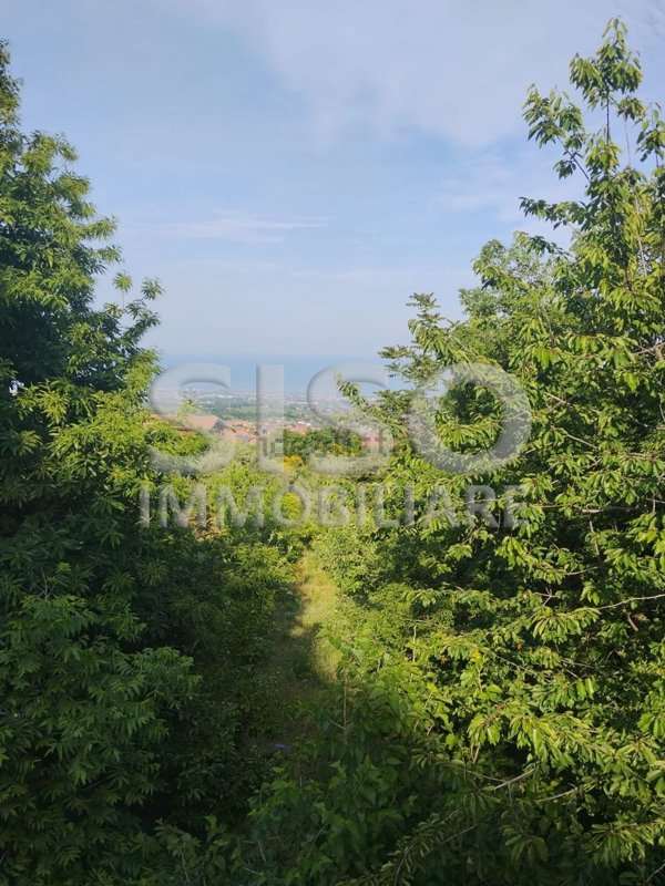 terreno agricolo in vendita a Zafferana Etnea