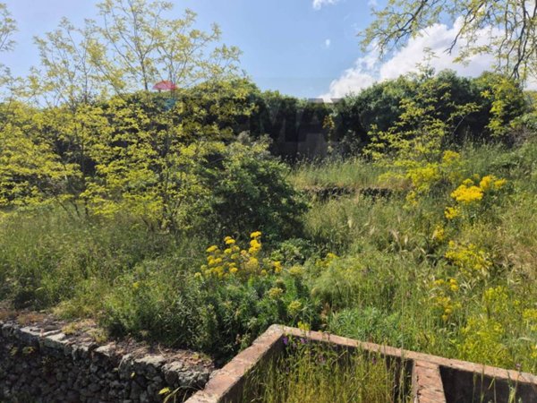 terreno agricolo in vendita a Zafferana Etnea in zona Sarro