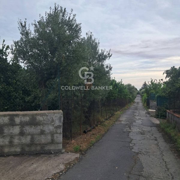 terreno in vendita a Zafferana Etnea in zona Petrulli