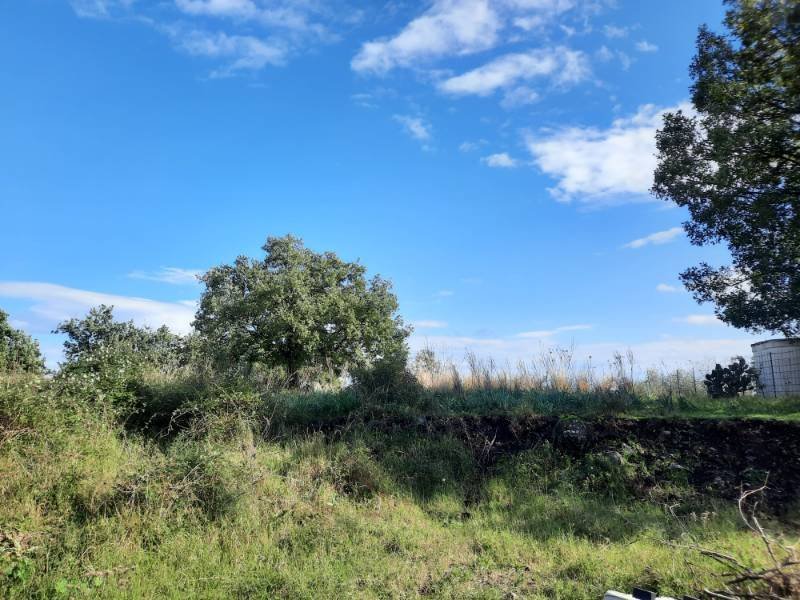 terreno in vendita a Zafferana Etnea in zona Petrulli