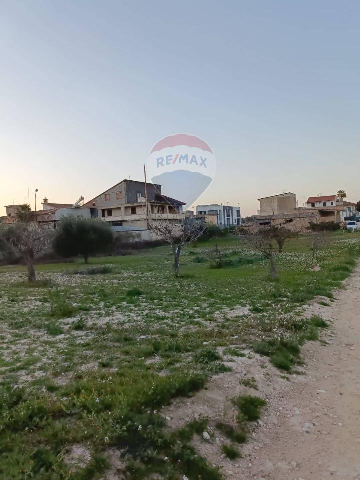 terreno agricolo in vendita a Mazzarrone