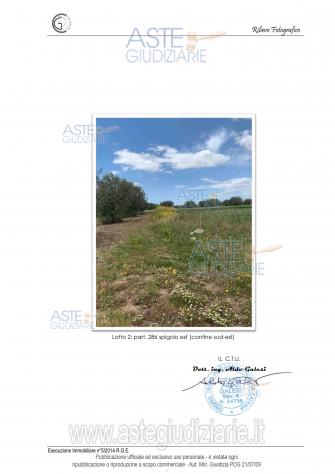 terreno agricolo in vendita a Mazzarrone
